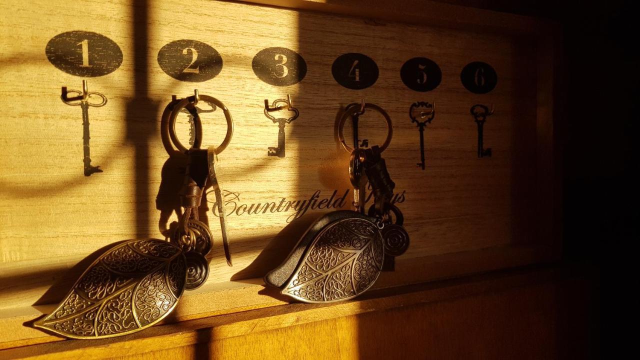 Apartamento Rural Alfawara Alfafara Exteriér fotografie