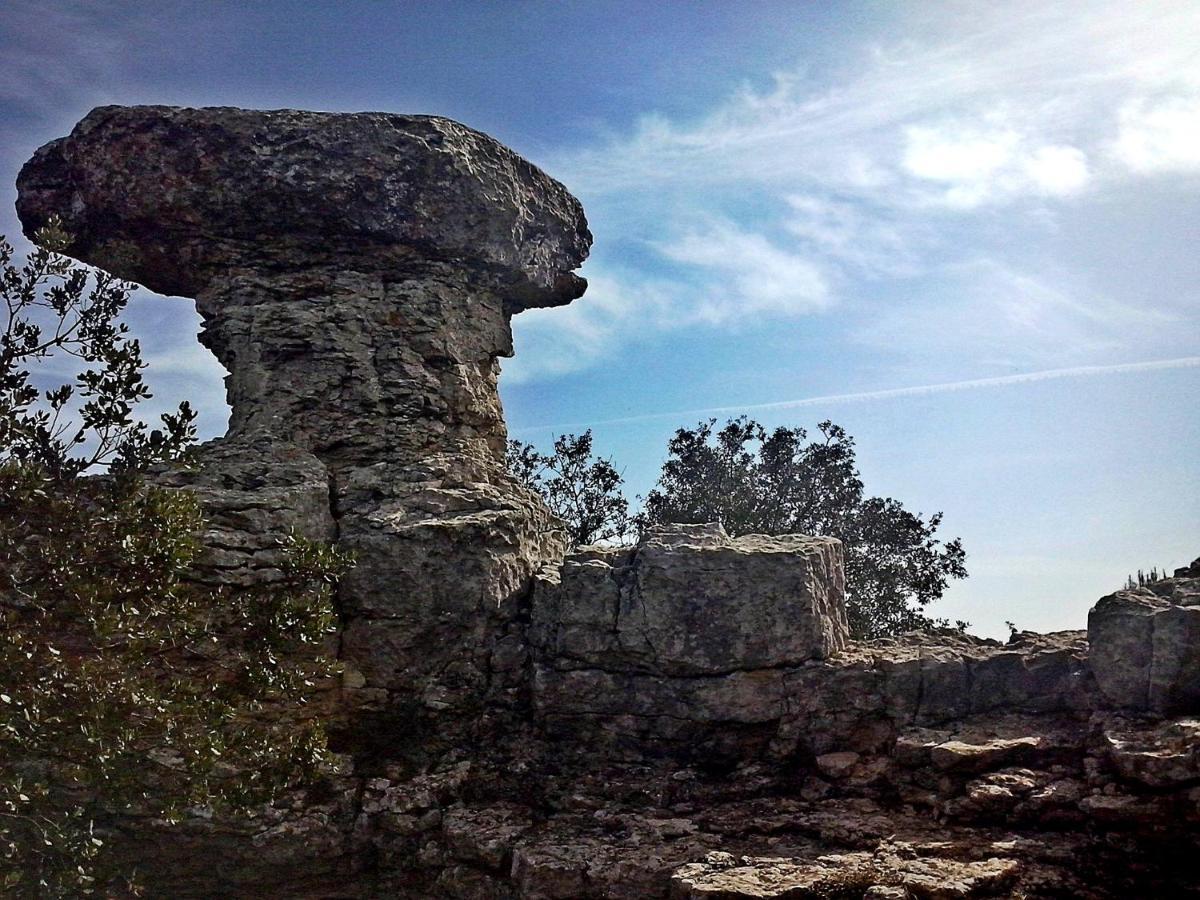 Apartamento Rural Alfawara Alfafara Exteriér fotografie