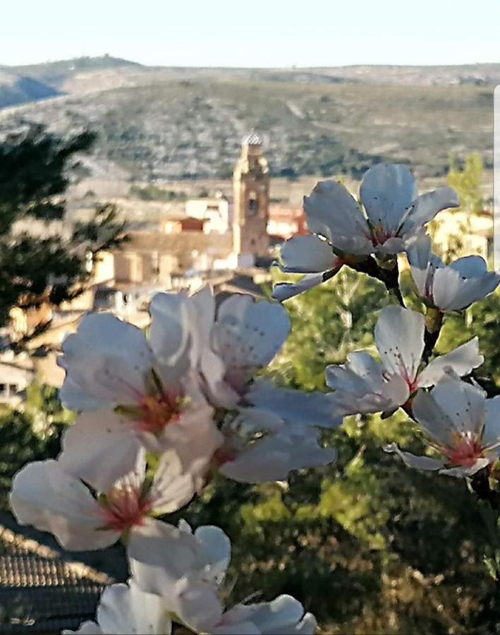 Apartamento Rural Alfawara Alfafara Exteriér fotografie